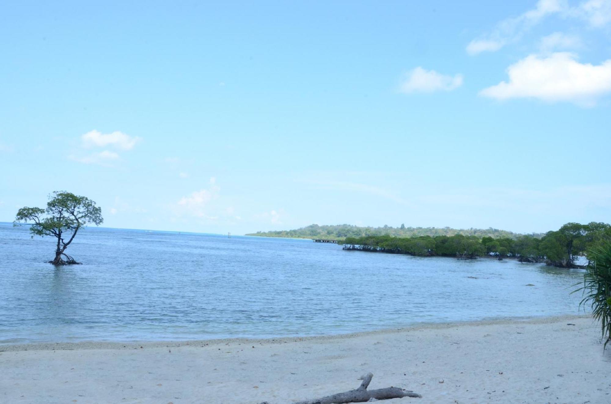 Lakshmanpur Coconhuts Beach Resort מראה חיצוני תמונה