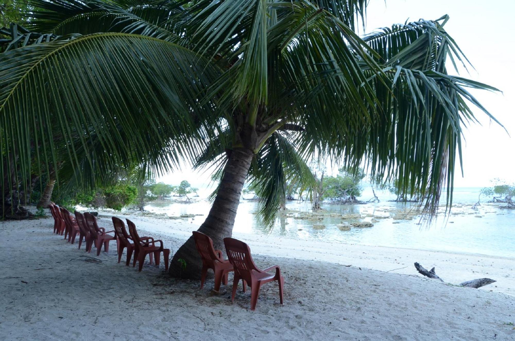 Lakshmanpur Coconhuts Beach Resort מראה חיצוני תמונה